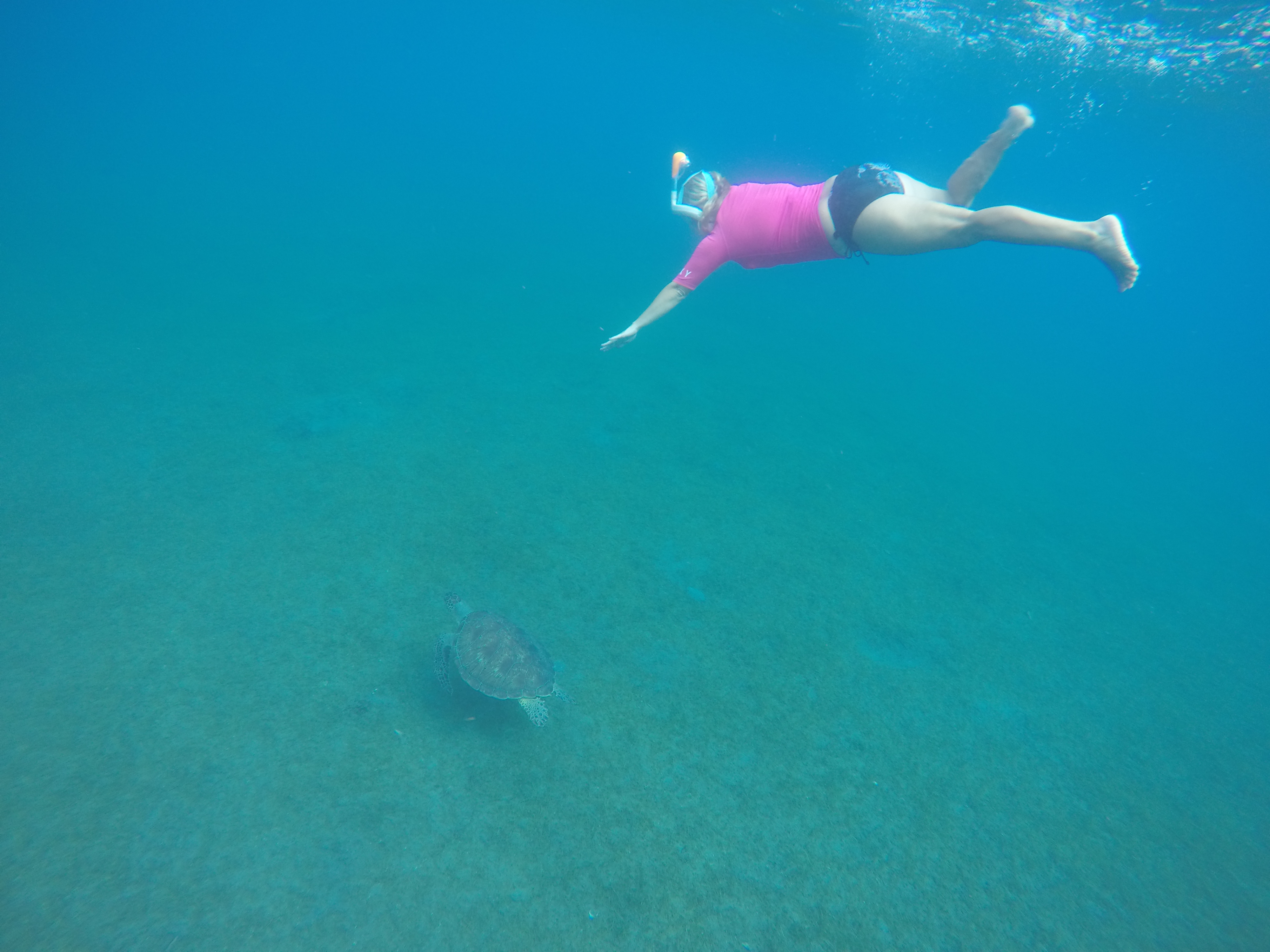 DCIM100GOPROGOPR0058.